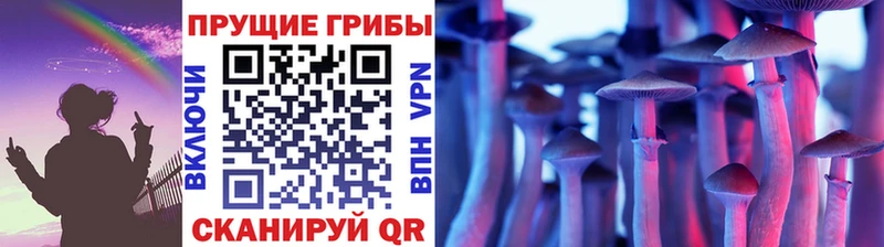 Галлюциногенные грибы Magic Shrooms Славск